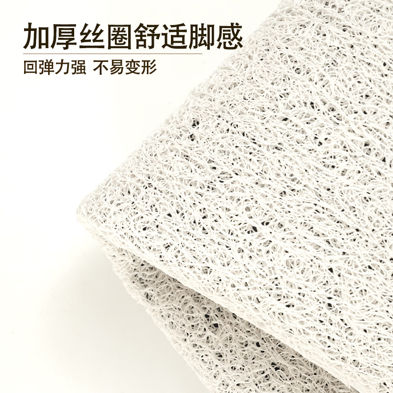 入户门地垫家用门口丝圈高级感轻奢玄关进门门外可裁剪地毯脚垫子 - 图2