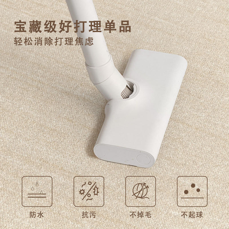 2026 new special-shaped living room carpet, no washable and wipeable