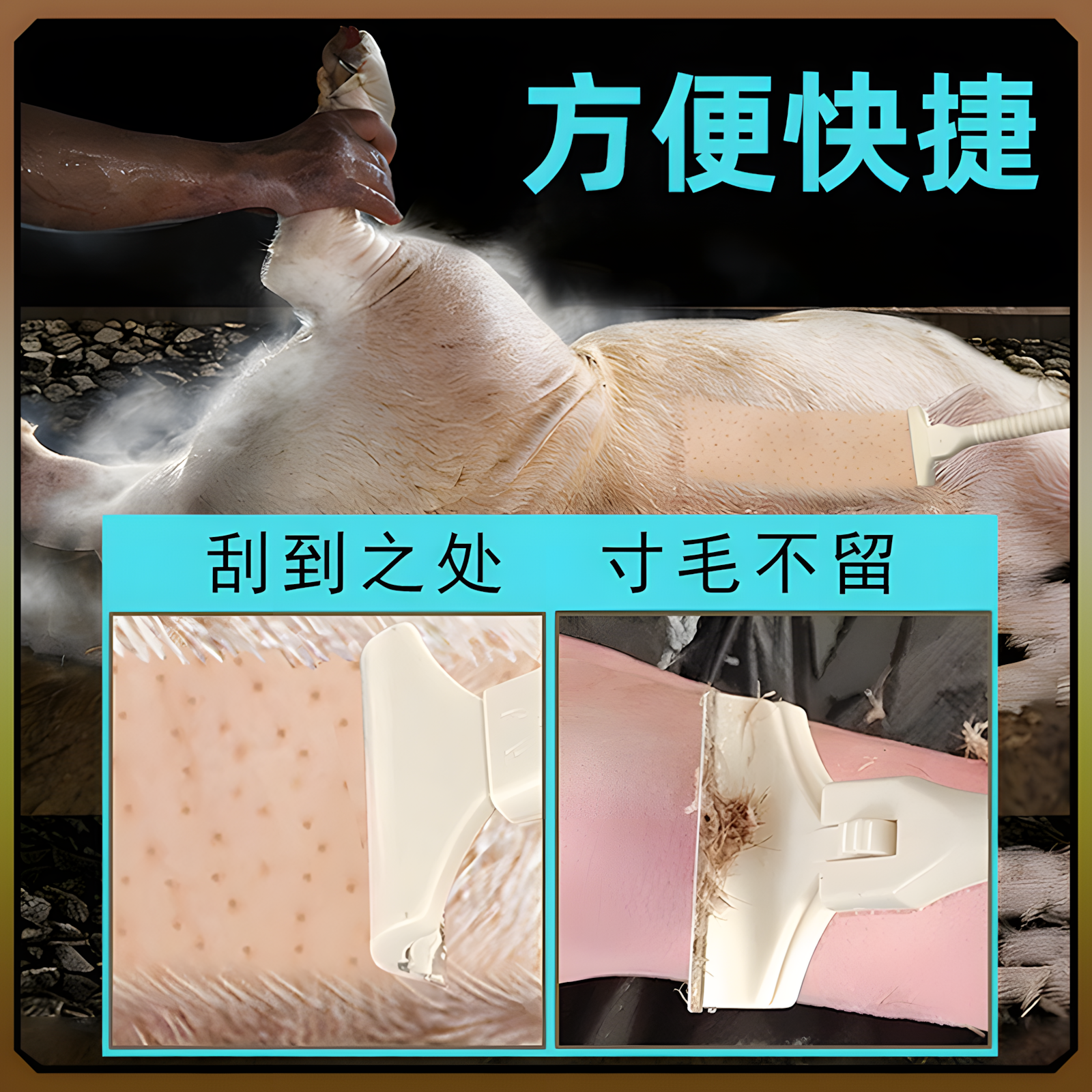 刮猪皮油专用刀刮猪皮油刀刮猪皮刀刮猪皮刀片刮猪皮刀专用刀猪毛,淘宝优惠券,粉丝福利购,淘宝优惠卷