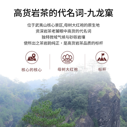 【窠岩氏】九龙窠老树肉桂武夷山岩茶正岩产区乌龙茶老枞送礼自饮 - 图1