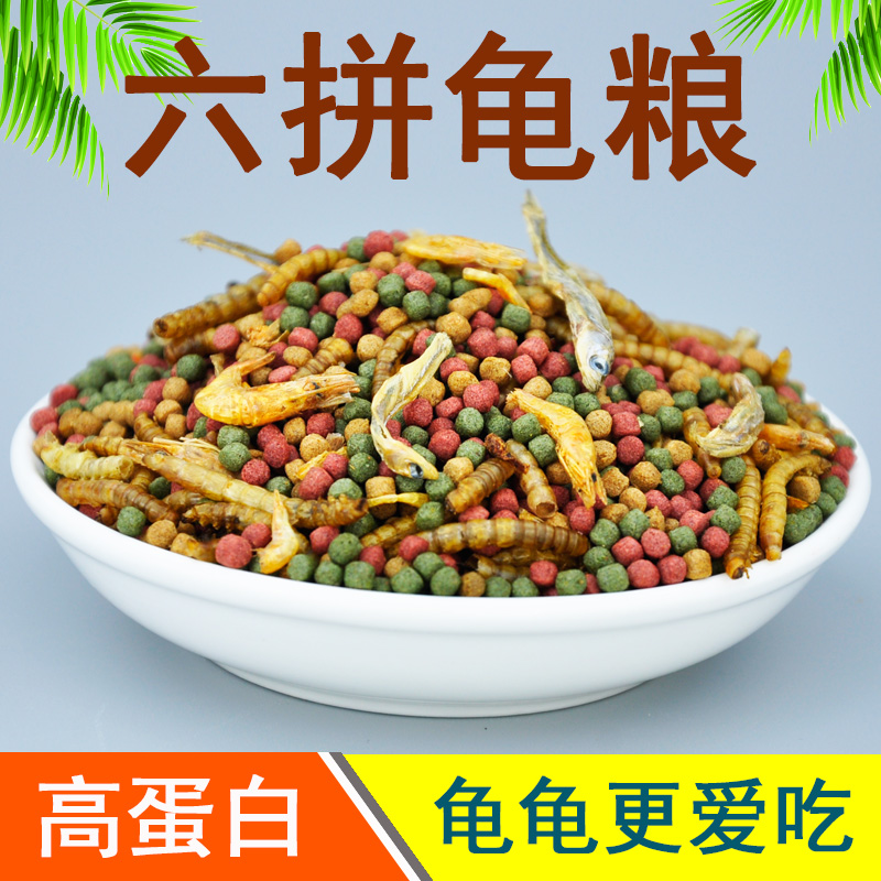 龟粮小乌龟饲料鱼干虾干幼龟开口通用巴西龟草龟龟料颗粒专用食物 - 图0