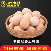 40 native eggs farmhouse scattered fresh countryside self-raised natural dumb eggs Chai eggs with 30 10 whole boxes