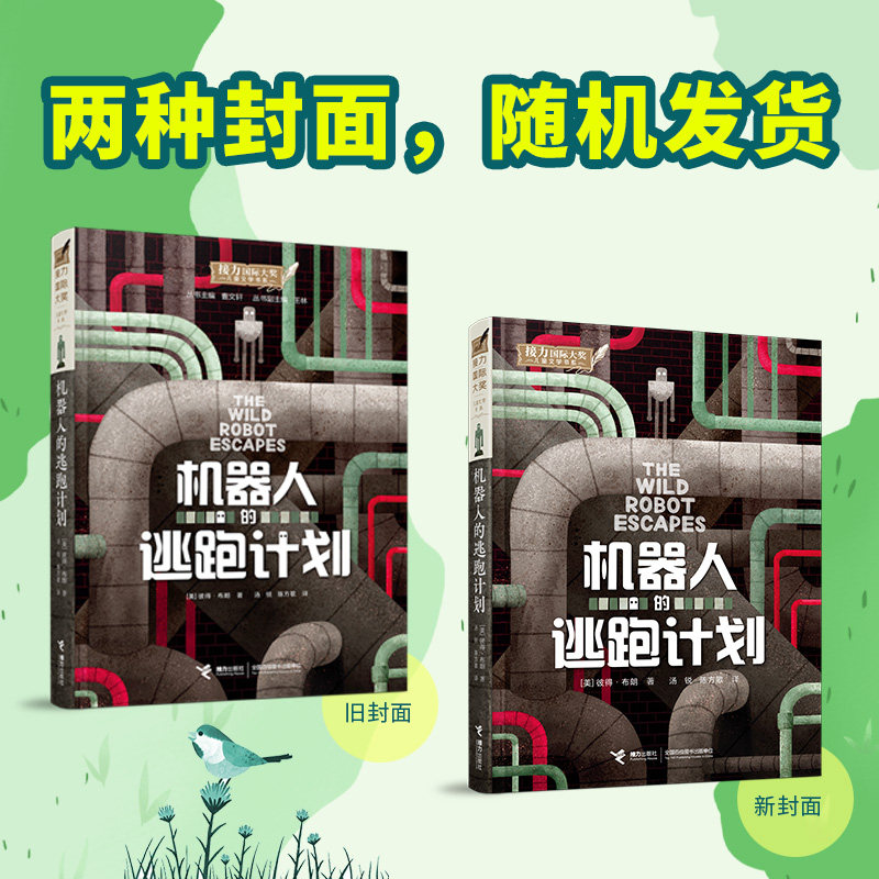 图3