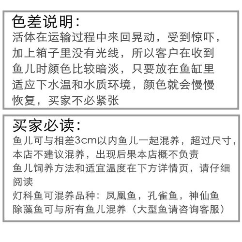 斑马鱼冷水热带小型鱼观赏鱼精品孔雀红绿灯科活体金鱼苗淡水好养 - 图1