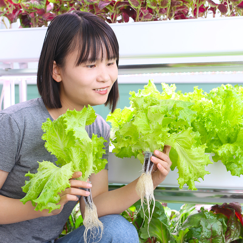 无土栽培蔬菜设备智能多层种菜机室内家庭阳台种草莓官方正品