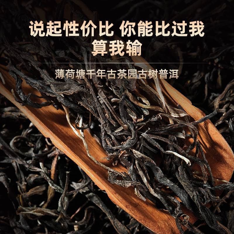 云南普洱茶生茶易武薄荷塘高杆古树纯料回甘头春普洱散茶散装茶叶-图0