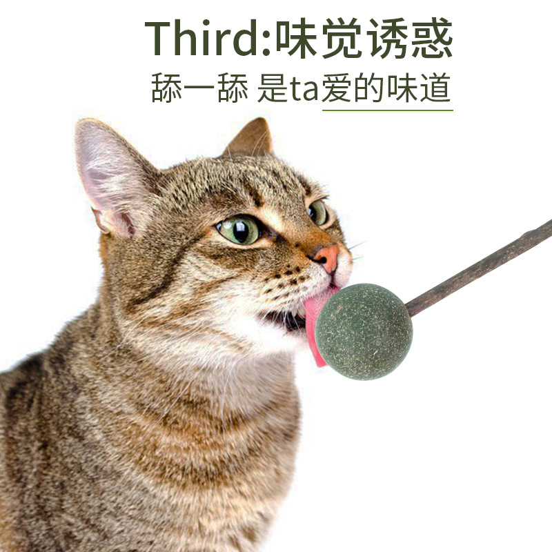 猫博荷舔舔乐超大猫薄荷球实心虫瘿果猫自嗨玩具猫草球磨牙逗猫棒-图0