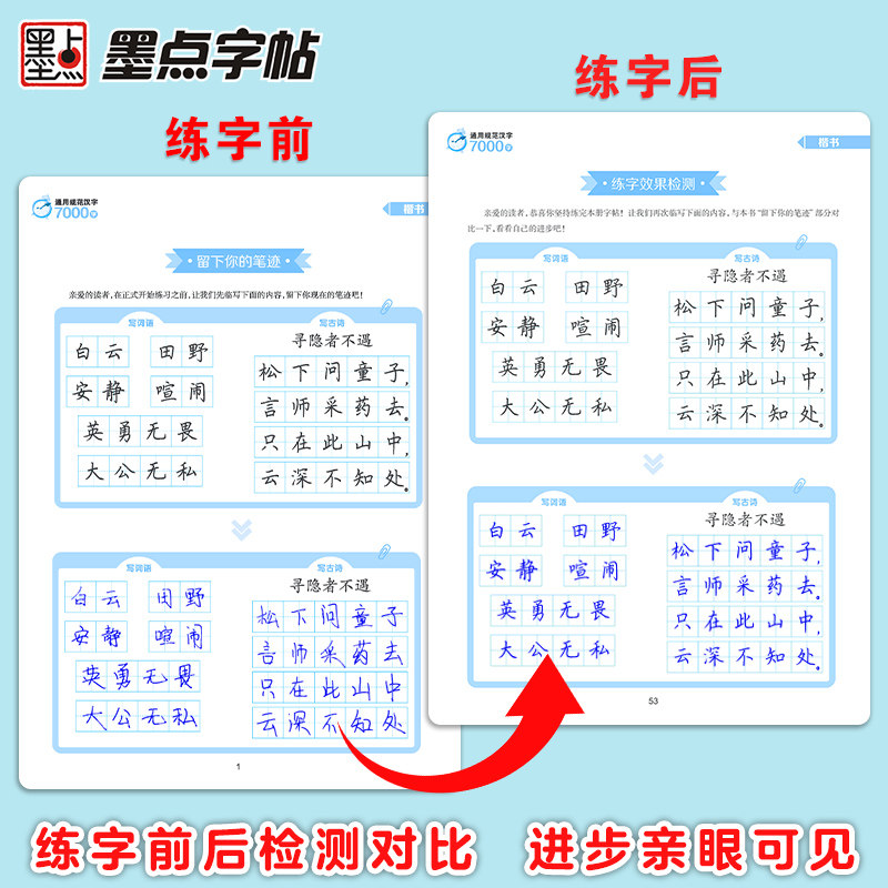荆霄鹏楷书行楷字帖通用规范汉字7000字常用字楷体字帖初学者硬笔书法教程初中生高中生成人男女生字体漂亮行书入门练字帖墨点字帖
