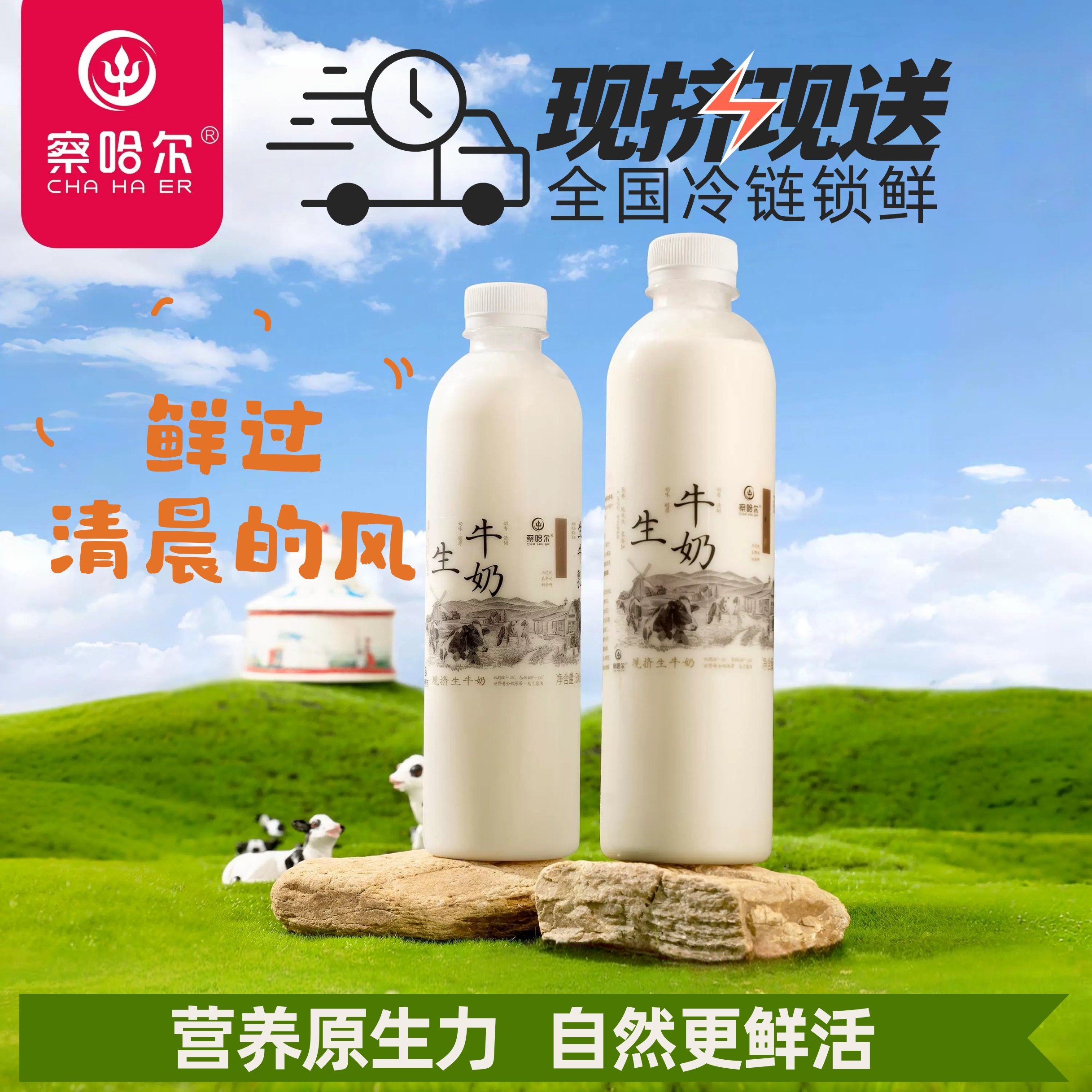 内蒙古现挤鲜奶生鲜牛奶学生老人早餐现打冻牛奶鲜牛乳冷链速发,淘宝优惠券,粉丝福利购,淘宝优惠卷