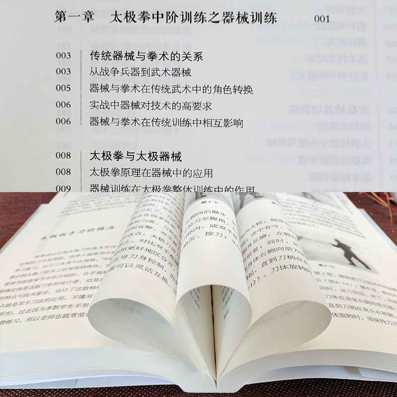 说手—太极拳静思录（述真篇）传统武术器械 拳术 实践手册  北京科学技术出版社  9787571409135 - 图1