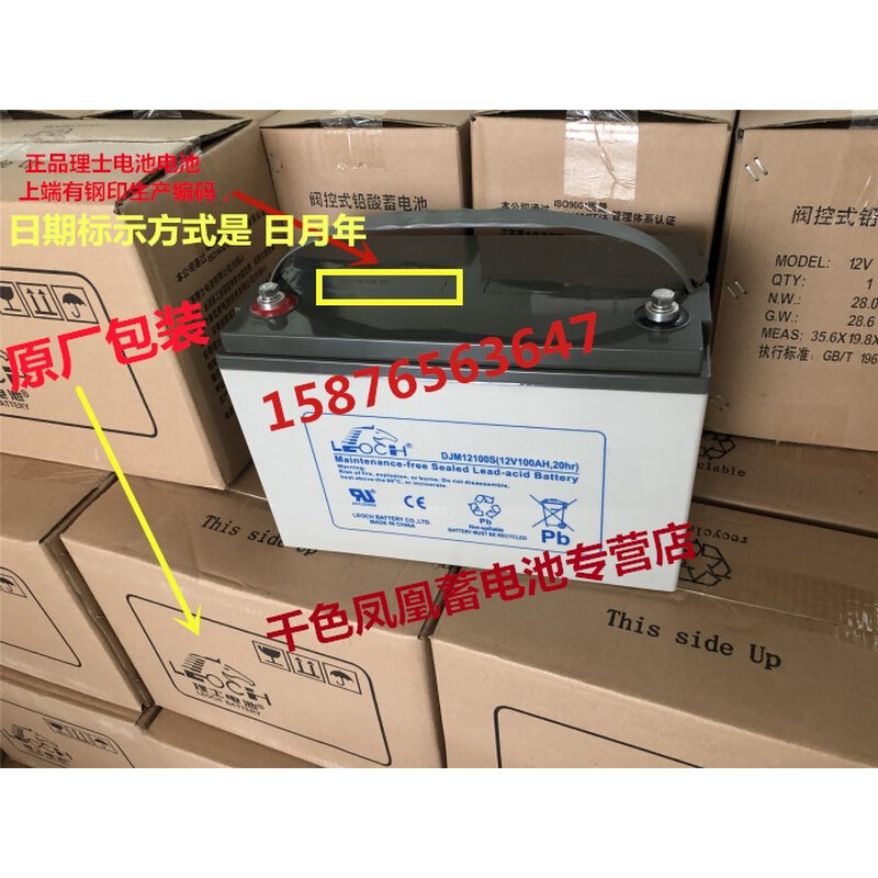 原装LEOCH蓄电池DJM12100S 12V100AH UPS机房 应急EPS直流屏电柜 - 图2