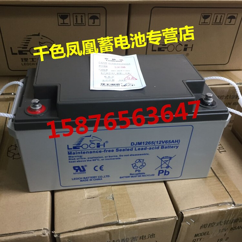 原装LEOCH蓄电池DJM1265 12V65AH20HR UPS直流屏电力机房电池现货 - 图0