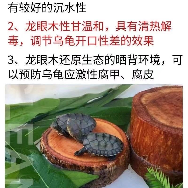 正宗龟用龙眼木晒背台乌龟爬坡休息台天然沉木鱼缸造景免煮