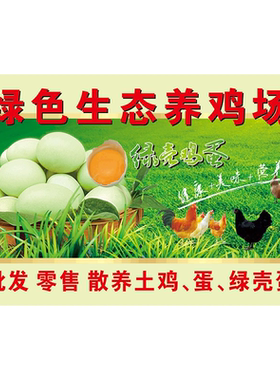 原生态乌鸡蛋海报展板特别推荐绿壳乌骨鸡蛋乌鸡蛋墙贴墙纸装饰画