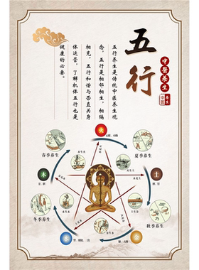 中医养生馆五行图解挂图挂画人体五行五脏相生相克海报装饰画