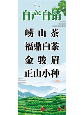 中国茶系福鼎白茶茶叶品类介绍茶馆茶叶店墙贴装饰自粘贴画