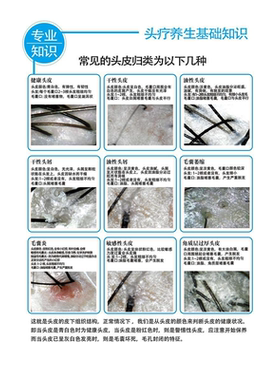头皮毛囊分析对比图海报展板头皮理疗常见头皮归类毛囊细胞海报