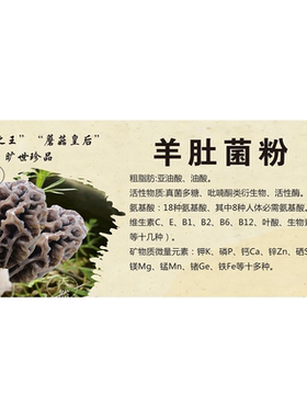 羊肚菌海报鸡油菌干巴菌青头菌墙贴墙纸牛肝菌装饰画展板