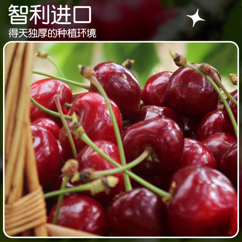 [现货]智利车厘子新鲜礼盒装5斤4J级进口大樱桃孕妇宝宝水果,淘宝优惠券,粉丝福利购,淘宝优惠卷