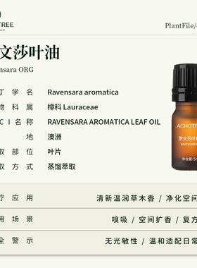 澳洲罗文莎叶精油顺畅呼吸按摩