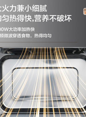 Galanz/格兰仕 G90F23YeSLV-AW(G0)变频微波炉900W23升不锈钢内胆