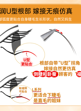 UJUB型山茶花下睫毛嫁接国风自然