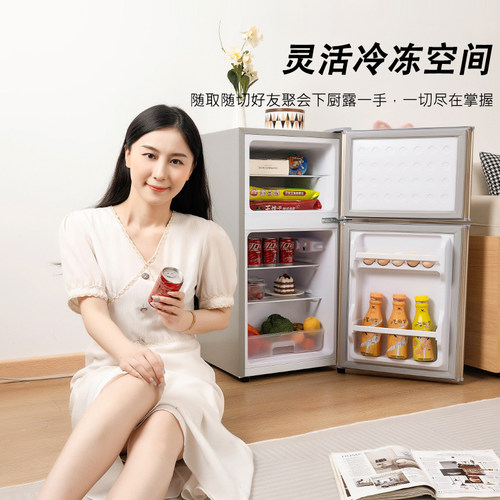 先科一级能效小冰箱家用小型宿舍租房用迷你省电办公室双门电冰箱 - 图1