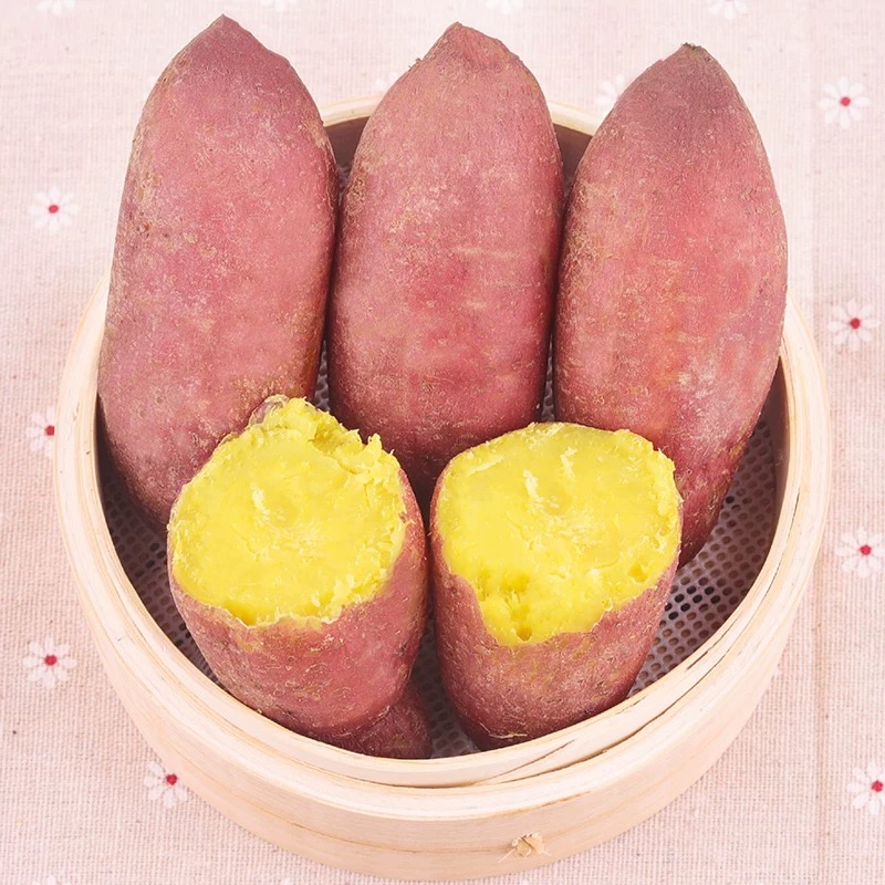 正宗蜜薯新鲜糖心9斤板栗番薯沙地红薯地瓜蔬菜农家自种六鳌