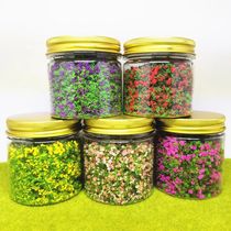 Bottled micro landscape architecture model ree powder grass