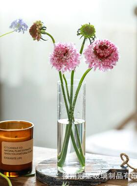 禧财玻璃花瓶摆件客厅插花迷你