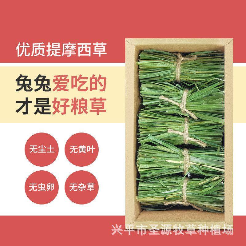 兔礼盒装荷兰猪提摩西兔子兔兔牧草草高纤宠物烘干草段干草段龙猫,淘宝优惠券,粉丝福利购,淘宝优惠卷