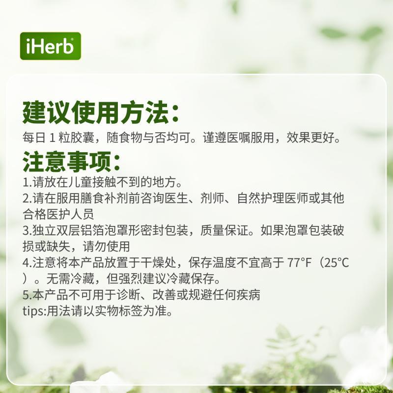 CGN成人益生菌胶囊 肠胃益生元