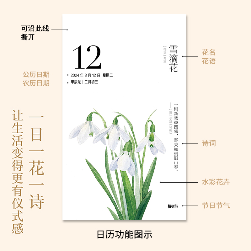 正版花开有时2024年日历新款手撕日历创意水彩花卉插画图龙年台历 - 图2