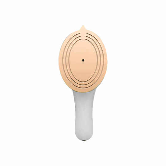 Der elektrisch bügelnde Mini-Dampfglätter von Meiyun entfernt Milben