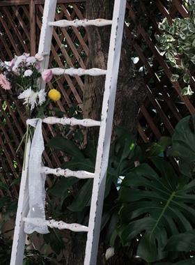 森得源新款上市铁艺梯子爬藤架空间陈列家居爬梯架摆件饰品花园架