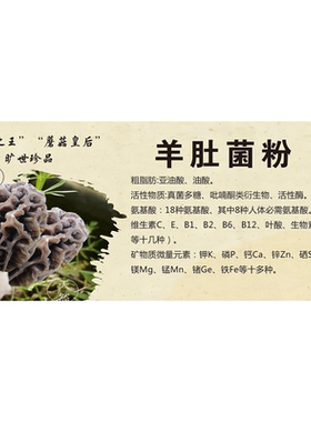 羊肚菌海报鸡油菌干巴菌青头菌墙贴墙纸牛肝菌装饰画展板