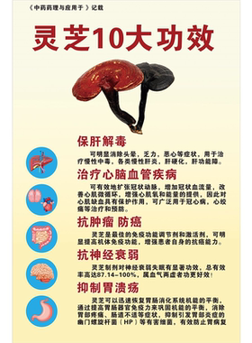 灵芝野生中华名贵中海报展板灵芝的功效作用野生赤灵芝的功效墙贴