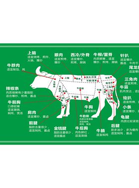 牛身体结构图牛肉部位分割切割图全牛宴海报牛肉分解图贴纸kt板