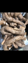 Fubull Mountain Po Wild Fresh Yam 500 gr Farmers Self-dug in Seven-shape Eight-like Wild Yam Powder Glutinous