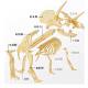 2nd Grade Science Dinosaur Fossil Archaeological Digging Toy