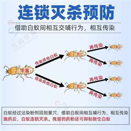 家用灭白蚁药粉剂传染膏除杀诱杀预防室内装修门框飞白蚂蚁杀虫药 - 图0