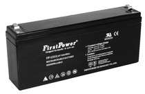 FirstPower (one electric) maintenance free lead-acid storage battery FP650A (6V5AH) original plant