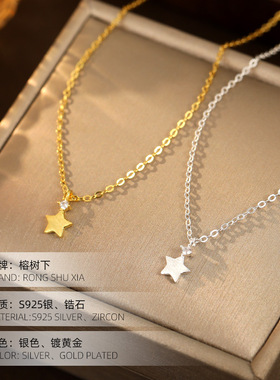 高级感S925银韩国拉丝锆石星星项