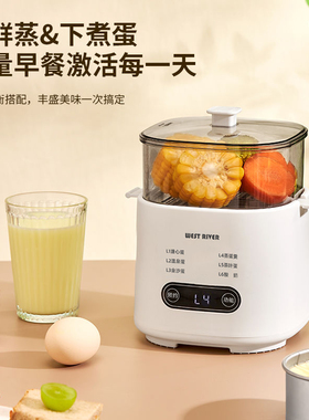 多功能蒸蛋器家用小型迷你一人自动断电可预约定时鸡蛋宿舍煮蛋器