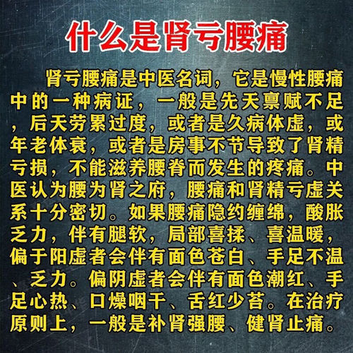 腰疼专用药腰间盘突出压迫神经引起腰部刺痛壮腰健肾丸正品陈李济-图0