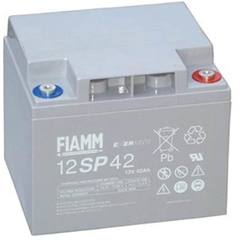 FIAMM武汉非凡蓄电池12SP42 12V42AH 直流屏ups电源电力设备用 - 图0