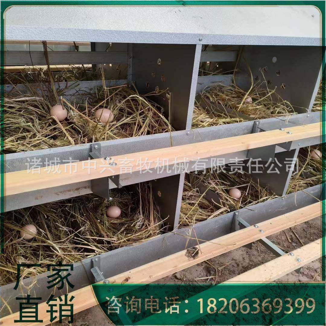 12穴散养鸡产蛋箱鸡蛋干净卫生种鸡场蛋箱不生锈可外挂鸡窝,淘宝优惠券,粉丝福利购,淘宝优惠卷