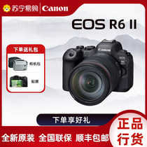 Canon EOS R6Mark II Full picture Amplitude Micro Single-Phase Machine R62 Second-generation Professional Micromono Digital Camera 3152