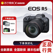 Canon EOS R5 Single fuselage 24-105 sets of machines r5 Full painting Professional Micromono Digital Camera Photography 3152