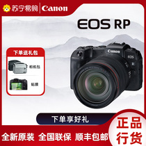 Canon EOS RP Full picture Amplitude Micro Single-Phase Machine Professional Microsingle Rp Camera Digital 3152